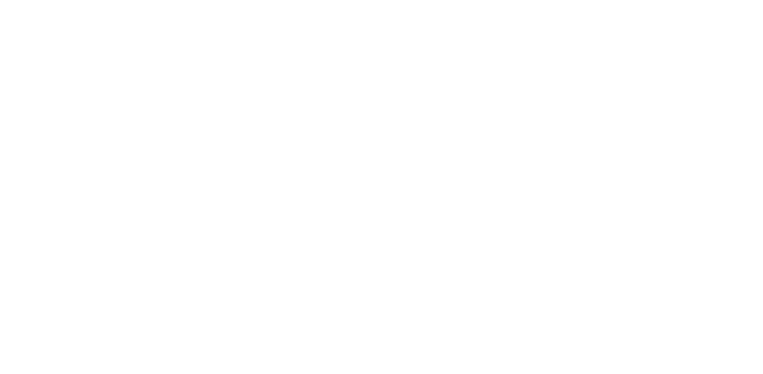 VaultX